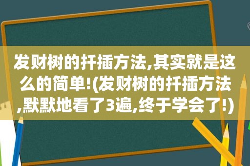 发财树的扦插方法,其实就是这么的简单!(发财树的扦插方法,默默地看了3遍,终于学会了!)