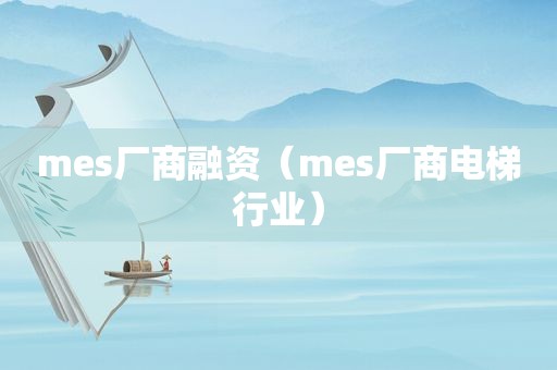 mes厂商融资（mes厂商电梯行业）