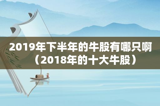 2019年下半年的牛股有哪只啊（2018年的十大牛股）