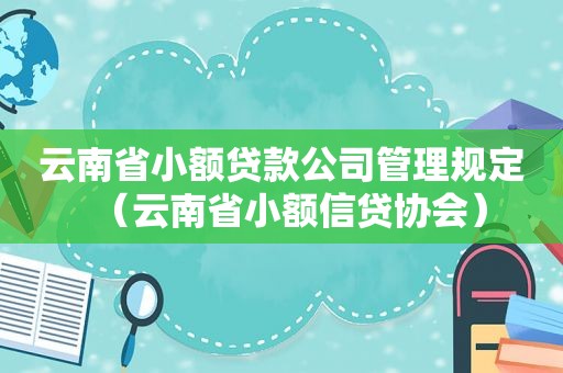 云南省小额贷款公司管理规定（云南省小额信贷协会）