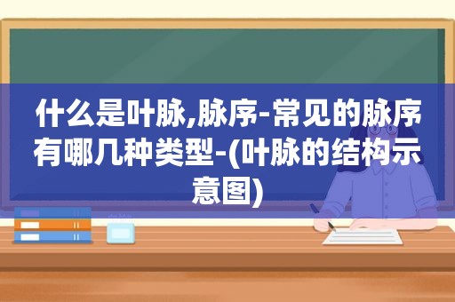 什么是叶脉,脉序-常见的脉序有哪几种类型-(叶脉的结构示意图)