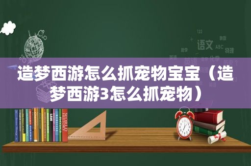 造梦西游怎么抓宠物宝宝（造梦西游3怎么抓宠物）