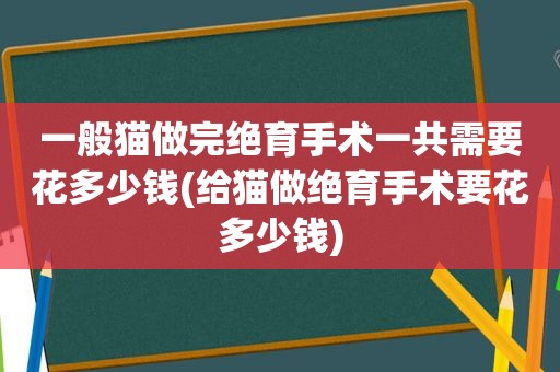 一般猫做完绝育手术一共需要花多少钱(给猫做绝育手术要花多少钱)