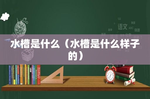 水槽是什么（水槽是什么样子的）