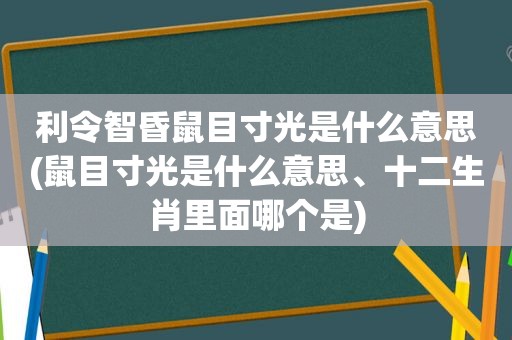 利令智昏鼠目寸光是什么意思(鼠目寸光是什么意思、十二生肖里面哪个是)