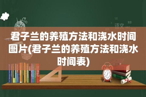 君子兰的养殖方法和浇水时间图片(君子兰的养殖方法和浇水时间表)