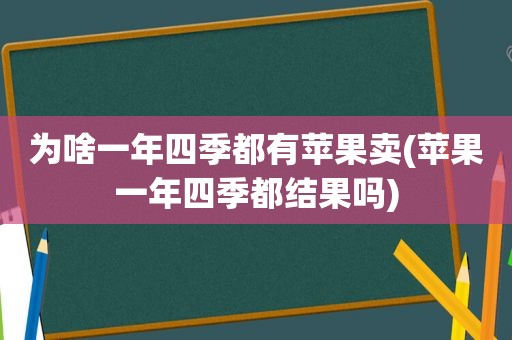 为啥一年四季都有苹果卖(苹果一年四季都结果吗)