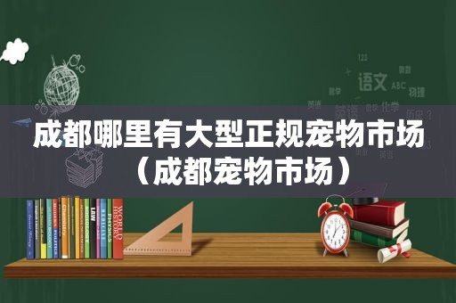 成都哪里有大型正规宠物市场（成都宠物市场）