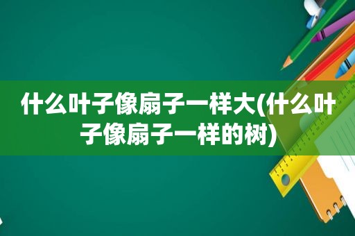 什么叶子像扇子一样大(什么叶子像扇子一样的树)