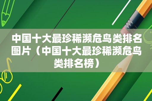 中国十大最珍稀濒危鸟类排名图片（中国十大最珍稀濒危鸟类排名榜）