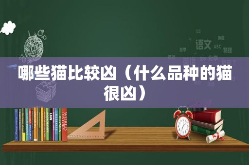 哪些猫比较凶（什么品种的猫很凶）