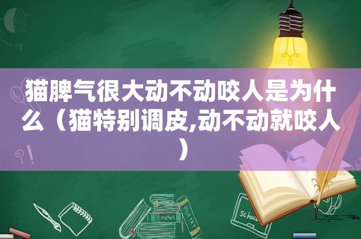 猫脾气很大动不动咬人是为什么（猫特别调皮,动不动就咬人）