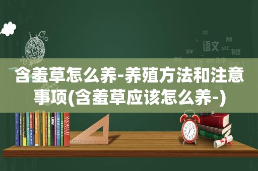 含羞草怎么养-养殖方法和注意事项(含羞草应该怎么养-)