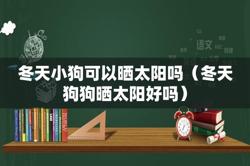 冬天小狗可以晒太阳吗（冬天狗狗晒太阳好吗）