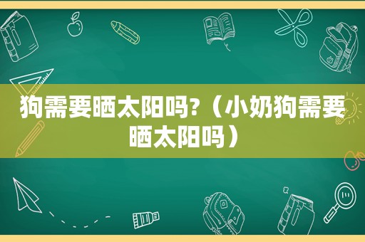 狗需要晒太阳吗?（小奶狗需要晒太阳吗）