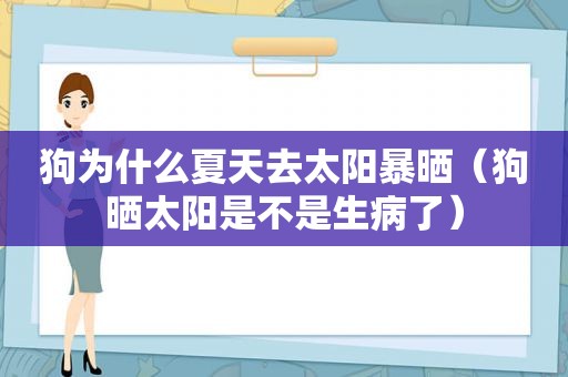 狗为什么夏天去太阳暴晒（狗晒太阳是不是生病了）