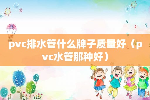 pvc排水管什么牌子质量好（pvc水管那种好）