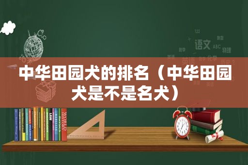 中华田园犬的排名（中华田园犬是不是名犬）