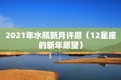 2021年水瓶新月许愿（12星座的新年愿望）