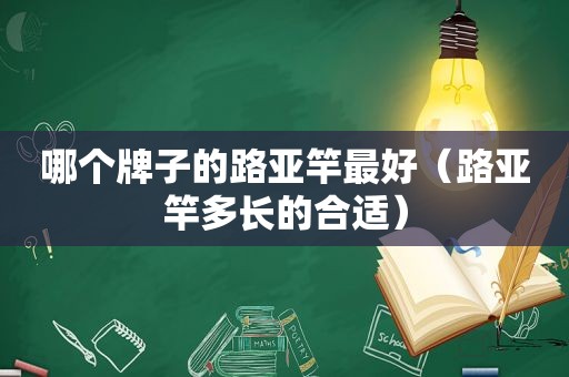 哪个牌子的路亚竿最好（路亚竿多长的合适）