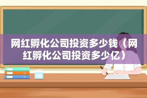 网红孵化公司投资多少钱（网红孵化公司投资多少亿）