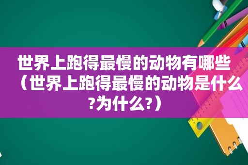 世界上跑得最慢的动物有哪些（世界上跑得最慢的动物是什么?为什么?）