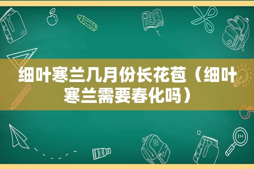 细叶寒兰几月份长花苞（细叶寒兰需要春化吗）