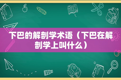 下巴的解剖学术语（下巴在解剖学上叫什么）