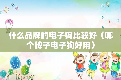 什么品牌的电子狗比较好（哪个牌子电子狗好用）