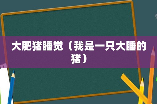 大肥猪睡觉（我是一只大睡的猪）