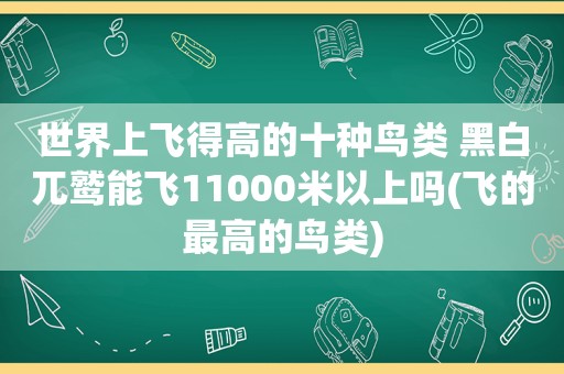 世界上飞得高的十种鸟类 黑白兀鹫能飞11000米以上吗(飞的最高的鸟类)