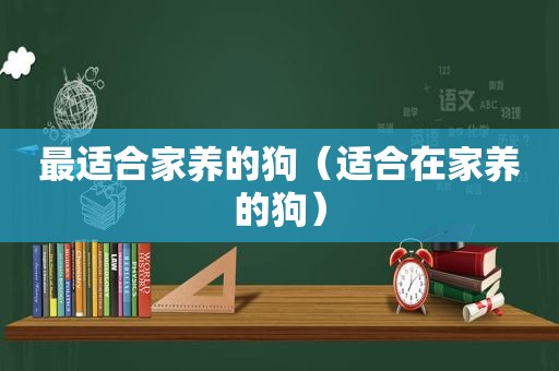 最适合家养的狗（适合在家养的狗）