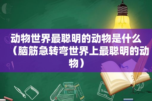 动物世界最聪明的动物是什么（脑筋急转弯世界上最聪明的动物）