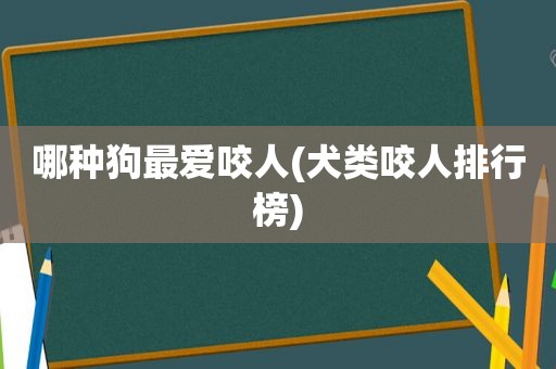 哪种狗最爱咬人(犬类咬人排行榜)