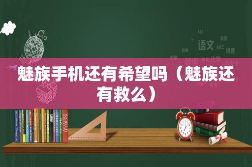 魅族手机还有希望吗（魅族还有救么）