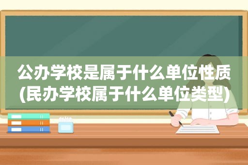 公办学校是属于什么单位性质(民办学校属于什么单位类型)