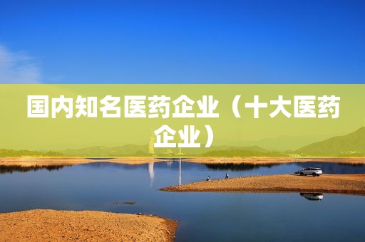 国内知名医药企业（十大医药企业）