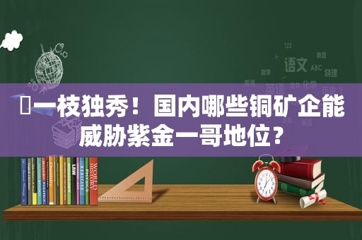 ​一枝独秀！国内哪些铜矿企能威胁紫金一哥地位？