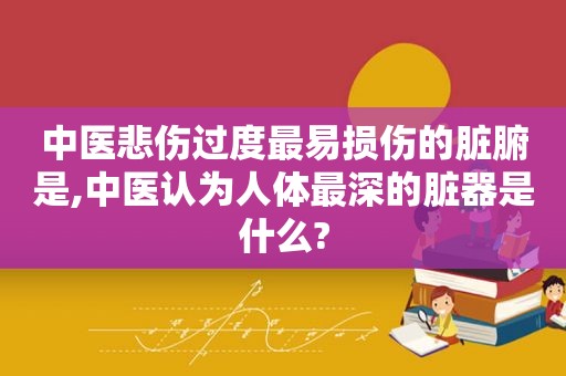 中医悲伤过度最易损伤的脏腑是,中医认为人体最深的脏器是什么?