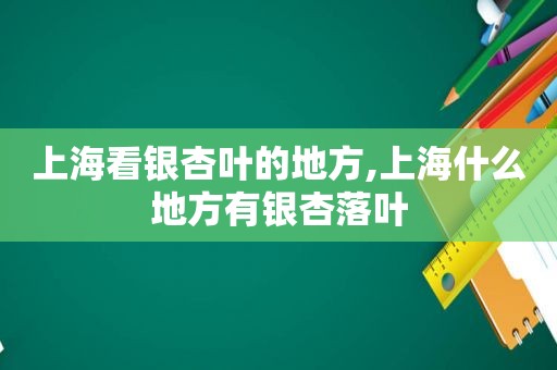 上海看银杏叶的地方,上海什么地方有银杏落叶