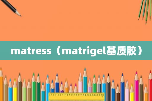 matress（matrigel基质胶）