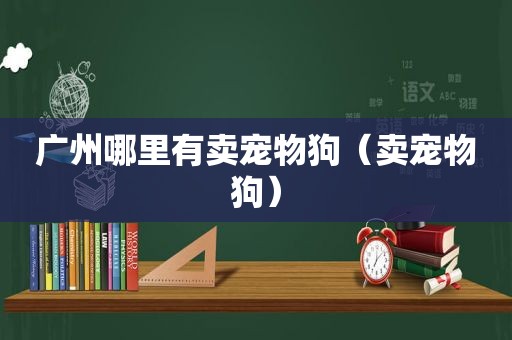 广州哪里有卖宠物狗（卖宠物狗）