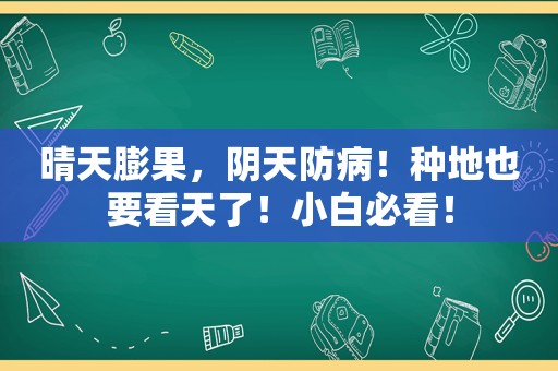 晴天膨果，阴天防病！种地也要看天了！小白必看！