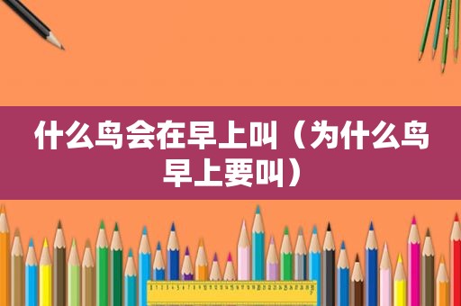 什么鸟会在早上叫（为什么鸟早上要叫）