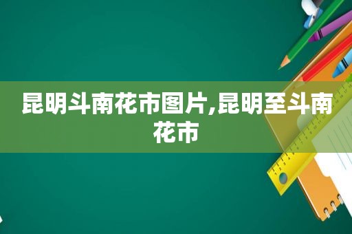 昆明斗南花市图片,昆明至斗南花市