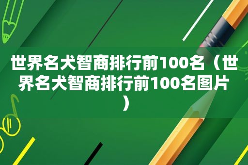 世界名犬智商排行前100名（世界名犬智商排行前100名图片）