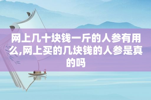 网上几十块钱一斤的人参有用么,网上买的几块钱的人参是真的吗