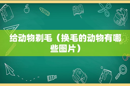 给动物剃毛（换毛的动物有哪些图片）