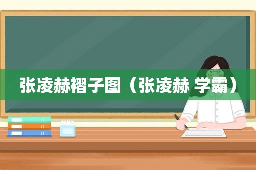 张凌赫褶子图（张凌赫 学霸）