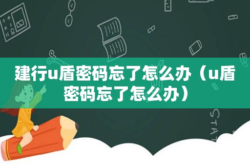 建行u盾密码忘了怎么办（u盾密码忘了怎么办）